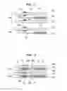Fig. 07 - Fuel cell sealing structure