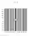 Fig. 06 - Recording medium recording program for generating mask data, method for manufacturing mask, and exposure method