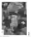 Fig. 06 - Taggent flakes for covert security applications having a selected shape