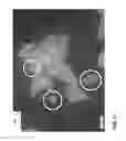 Fig. 08 - Taggent flakes for covert security applications having a selected shape
