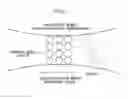Fig. 05 - ELECTROSTATIC LATENT IMAGE DEVELOPER, IMAGE FORMING APPARATUS, PROCESS CARTRIDGE AND IMAGE FORMING METHOD