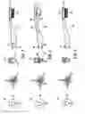 Fig. 08 - DEVICE FOR GENERATING GASEOUS SPECIES