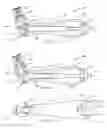 Fig. 11 - DENTAL PROPHYLAXIS ANGLE AND HANDPIECE ASSEMBLY