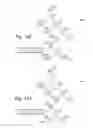 Fig. 26 - Object-field-based mathematics system