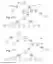 Fig. 34 - Object-field-based mathematics system