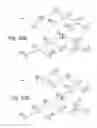 Fig. 41 - Object-field-based mathematics system