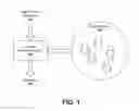 Fig. 02 - ADVISORY SERVICES NETWORK AND ARCHITECTURE