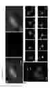 Fig. 04 - Single molecule sensitive probes for detecting RNA