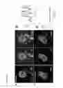 Fig. 09 - Single molecule sensitive probes for detecting RNA