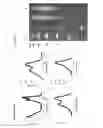 Fig. 16 - Single molecule sensitive probes for detecting RNA