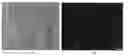 Fig. 01 - Cell-targeting nanoparticles and uses thereof