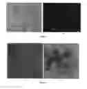 Fig. 02 - Cell-targeting nanoparticles and uses thereof