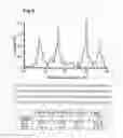 Fig. 06 - Method for sequencing a heteropolymeric target nucleic acid sequence
