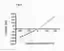 Fig. 07 - Method for sequencing a heteropolymeric target nucleic acid sequence