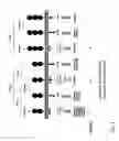Fig. 27 - Means and methods for investigating nucleic acid sequences