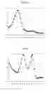 Fig. 06 - Polymorphism Detection Probe, Polymorphism Detection Method, Evaluation of Drug Efficacy, and Polymorphism Detection Kit