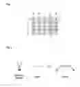 Fig. 02 - Detection of multiple nucleic acid sequences in a reaction cartridge