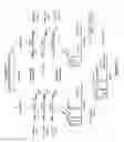 Fig. 20 - mPCR methods for analyzing repeat sequences