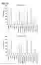 Fig. 04 - Method for identifying a subpopulation of mammalian cells with distinctive ribosome translation profiles