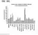 Fig. 29 - Method for identifying a subpopulation of mammalian cells with distinctive ribosome translation profiles