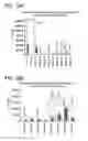 Fig. 34 - Method for identifying a subpopulation of mammalian cells with distinctive ribosome translation profiles