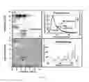 Fig. 07 - Reagents for biomolecular labeling, detection and quantification employing raman spectroscopy