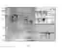 Fig. 08 - Reagents for biomolecular labeling, detection and quantification employing raman spectroscopy