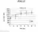 Fig. 12 - Method for detecting afferent lymph vessel inflow regions and method for identifying specific cells