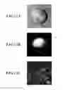 Fig. 13 - Method for detecting afferent lymph vessel inflow regions and method for identifying specific cells