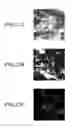 Fig. 23 - Method for detecting afferent lymph vessel inflow regions and method for identifying specific cells