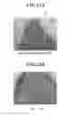 Fig. 27 - Method for detecting afferent lymph vessel inflow regions and method for identifying specific cells