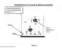 Fig. 03 - Methods for Label Free Testing of Cells