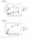 Fig. 03 - Method for detecting antibody against SITH-1 in biological sample