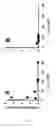 Fig. 03 - TESTING EFFICACY FOR CELIAC DISEASE
