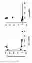 Fig. 05 - TESTING EFFICACY FOR CELIAC DISEASE