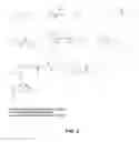 Fig. 04 - Coelenterazine derivatives and methods of using same