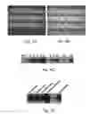 Fig. 04 - Use of genetically modified organisms to generate biomass degrading enzymes