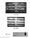 Fig. 10 - Use of genetically modified organisms to generate biomass degrading enzymes