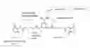 Fig. 01 - Crosslinking reagent for analysis of protein-protein interaction