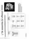 Fig. 06 - METHOD OF PRODUCING HUMAN IGG ANTIBODIES WITH ENHANCED EFFECTOR FUNCTIONS