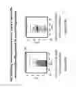 Fig. 21 - METHOD OF PRODUCING HUMAN IGG ANTIBODIES WITH ENHANCED EFFECTOR FUNCTIONS