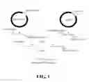 Fig. 02 - Expression cassette, recombinant host cell and process for producing a target protein