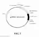 Fig. 03 - Expression cassette, recombinant host cell and process for producing a target protein