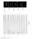 Fig. 13 - MULTIPLEX ASSEMBLY OF HIGH FEDELITY DNA