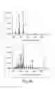 Fig. 14 - Microbial engineering for the production of chemical and pharmaceutical products from the isoprenoid pathway