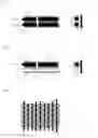 Fig. 06 - Method for Treating a Biological Material Comprising Living Cells