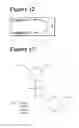 Fig. 05 - DOUBLE-STRANDED OLIGONUCLEOTIDES