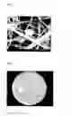 Fig. 03 - Electrospun Polymer Fibers Comprising Particles of Bacteria-Containing Hydrogels