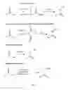 Fig. 03 - Processes for forming amide bonds and compositions related thereto