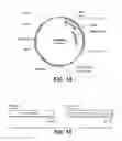 Fig. 11 - Thermostable neutral metalloproteases